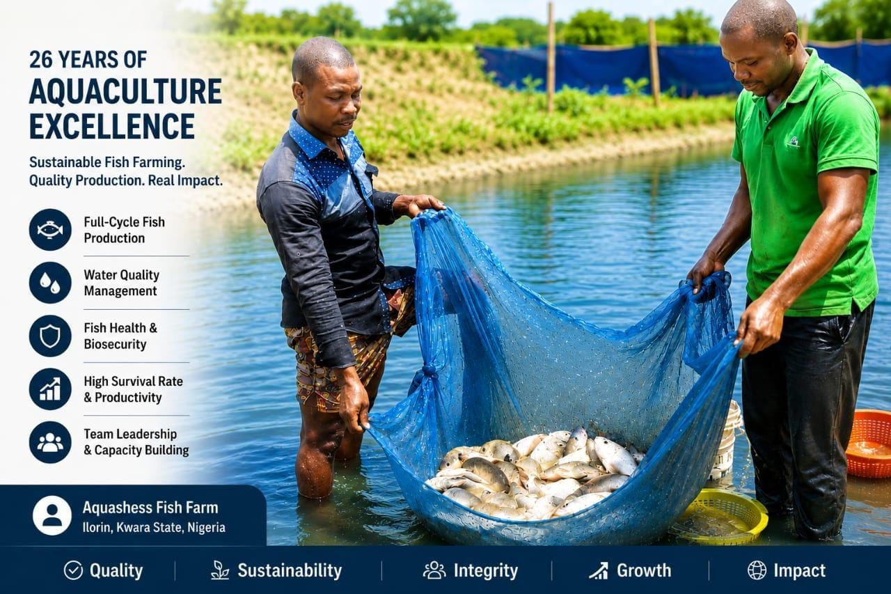 Aquashess Fish Farm team harvesting fish, Ilorin, Kwara State
